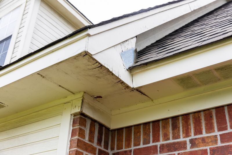 Soffit Damage Repair in Conroe, TX