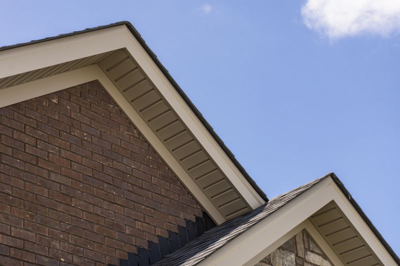 Garage Fascia Replacement in Conroe, TX